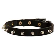 Elegant Thin Leather Dog Collar Decorated with Nickel Spikes