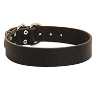 Classical Wide Leather Dog Collar