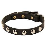 Elegant Leather Dog Collar With Half-Ball Nickel Studs