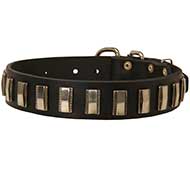 Plated Leather Dog Collar for Walking and Training