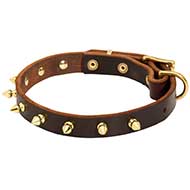 Elegant Thin Leather Dog Collar Decorated with Brass Spikes