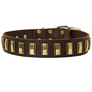 Gorgeous Wide Durable Leather Dog Collar with Vertical Brass Plates