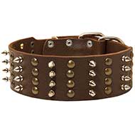 Gorgeous Design Leather Dog Collar with Nickel Plated Spikes and Brass Studs