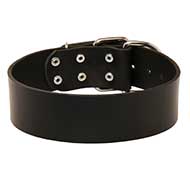Classic Leather Dog Collar For Everyday Walking and Training