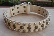 Decorated Leather Dog Collar with Pyramids and Studs