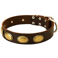 Leather Dog Collar Decorated With Vintage Oval Plates