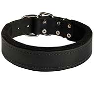 Leather Dog Collar Padded with Thick Felt for Walking and Training