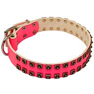 Gorgeous Wide Pink Leather Dog Collar Gorgeous Wide Pink Leather Dog Collar