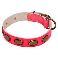 Pink Leather Dog Collar with Brass Oval Plates Pink Leather Dog Collar with Brass Oval Plates