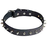 30 mm Leather Dog Collar with 1 Row of Nickel Plated Spikes