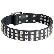 Studded Leather Dog Collar For Handling Strong Built Dogs