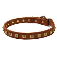 Outstanding Super Slim Leather Dog Collar Decorated With Brass Studs
