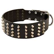 Leather Dog Collar Decorated with 3 Rows of Nickel Studs