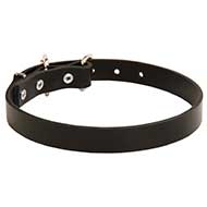 small leather collar></a></p>
<p
style=