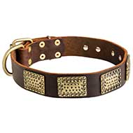 Luxury Dog Collar with Massive Vintage Brass Plates