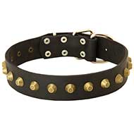Gorgeous Wide Leather Dog Collar with Studs