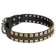 Premium Quality Wide Leather Dog Collar with Hand-Set Brass Studs