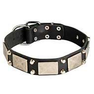 Decorative Leather Dog Collar with Nickel Plates