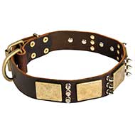 Stylish Leather Dog Collar for Everyday Walking and Training