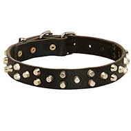 Studded Leather Dog Collar For Everyday Walking and Training