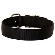 Wide Nylon Dog Collar For Everyday Walking and Training