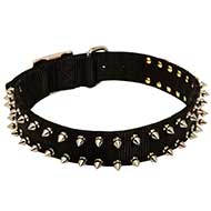 Fashionable Nylon Dog Collar with 2 Rows of Nickle Spikes