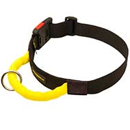 Multifunctional Nylon Dog Collar with Comfortable Handle