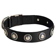 coolest dog collar