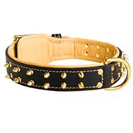dog collar with bling