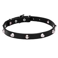 "Beauty & Elegance" Dog Collar with Shiny Cones "Beauty & Elegance" Dog Collar with Shiny Cones