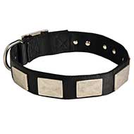 nylon dog collar