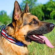 Leather German Shepherd Collar with American Flag Painting