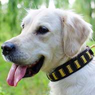 Durable Leather Golden Retriever Collar with Vertical Brass Plates