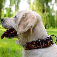Stylish Leather Golden Retriever Collar with Hand Painted Flames