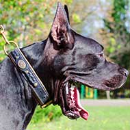 Royal Nappa Padded Leather Great Dane Collar with Braids