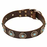 Elegant Leather Dog Collar with Silver Plated Circles