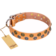 "Precious Sparkle" Handmade FDT Artisan Tan Leather Dog Collar with Luxurious Studs
