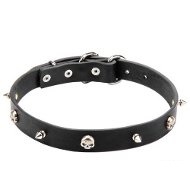 "Pirate" Genuine Leather Dog Collar 1 inch (25 mm) Wide "Pirate" Genuine Leather Dog Collar 1 inch (25 mm) Wide