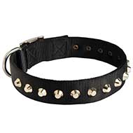 Stylish Wide Nylon Dog Collar With Nickel Pyramids