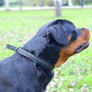 Gorgeous Braided Leather Rottweiler Choke Collar