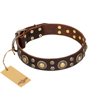 'Flower Melody' FDT Artisan Brown Leather Dog Collar with Mixed Studs for Daily Walking