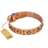 'Extra Sparkle' FDT Artisan Handcrafted Tan Leather Dog Collar