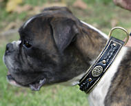 Hand Made Padded Leather Boxer Collar with Decorations