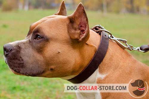 Multifunctional Classic Design Leather Dog Collar for Amstaff Walking