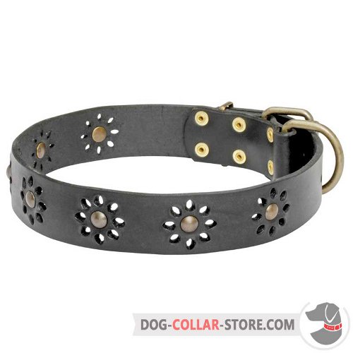 Dog Collar with durable brass hardware