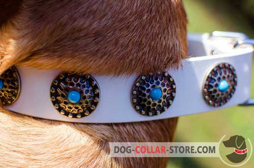 Blue Stones and Conchos on Decorated Leather Dog Collar
