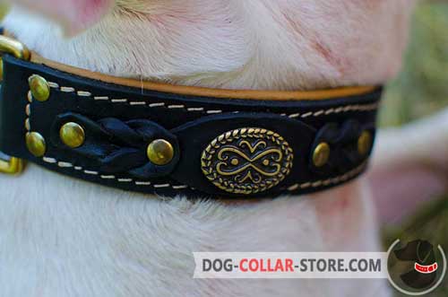 Stylish Brass Brooch and Braided Decoration on Padded Leather Dog Collar