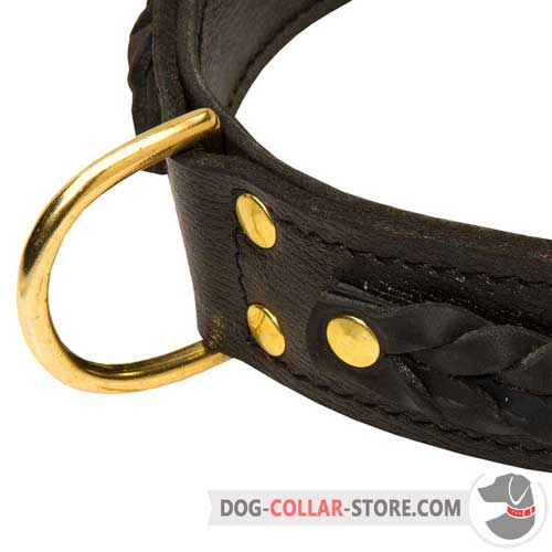 Brass Plated D-Ring on Braided Leather Dog Collar for Lead Attachment