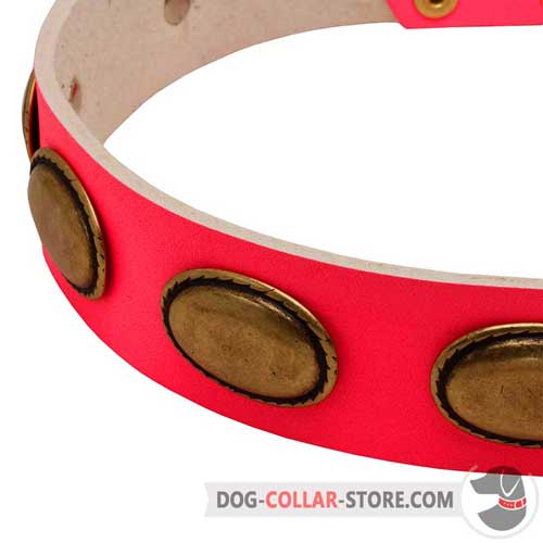 Oval Brass Plates on Designer Pink Leather Dog Collar