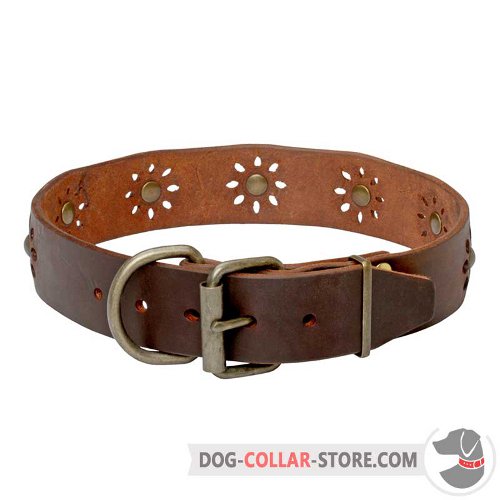 Leather Dog Collar designed for walking in style